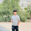 s_homsa1
