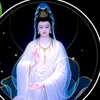kimngan.638_