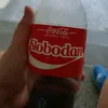 bobi_11101