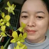 minhphi882