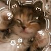 aty_wl