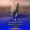 user5530694561401