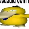 vinciuszeca