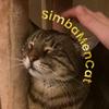 simbamencat