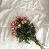 bushra_alshadwi