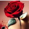 user2230313621798