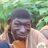 sokerekk