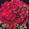 user5421956130133