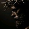 The Christ Lyfe
