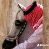 mhama5525