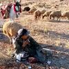 mohamad.alazi0