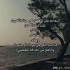 kamel.kamel2056