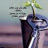 user7929631118581