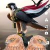 fasl20929