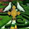 user2879584993017
