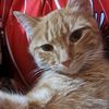 bastian.f319