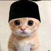 hafis5660