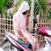 ovimani.nipa