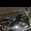 horselover6641