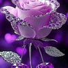 tisha.afsana