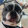 john_566566