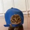 iivvvvr