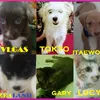 www.beapartofmyworld
