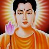 hongnguyen8417