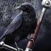 raventhompson595