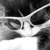 aliy4_iyaa