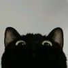 birualdari