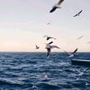 andn_kh