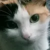 superchillgirl0
