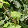 user4931253720533