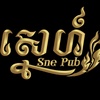 sne.pub