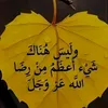 user2202652305442