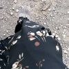 ummialeeya1