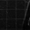 s1368947