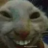 khanhdzzzzzzzzzzzzz