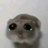 mimywumie