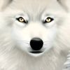 user60109120