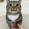 cacahhhhhhh