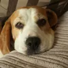 lynnemckenzie60