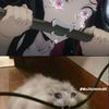 monsebewrdk