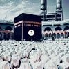 user4313199480088