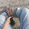 userdi579