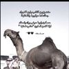 user1329717043524