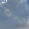 jssyye4tfrrst4