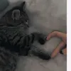 idkidkidk9886