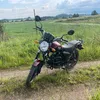 stingreevod
